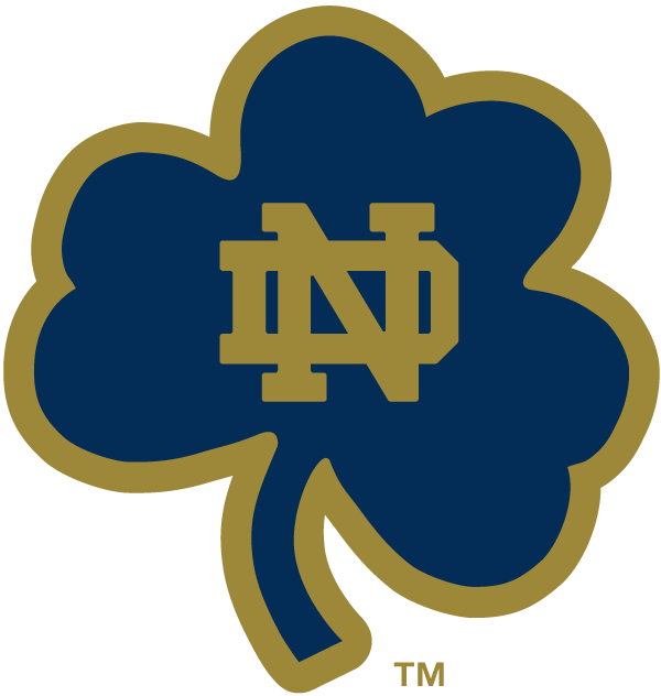 Notre Dame Fighting Irish 1994-Pres Alternate Logo v18 iron on transfers for fabric